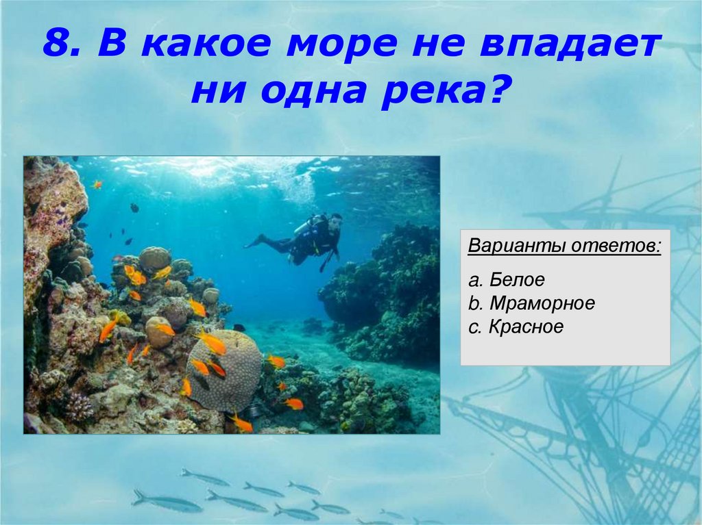 Это море не впадает ни одна река. Море какое оно.