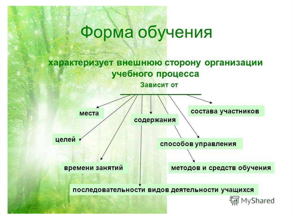 Развитие видов обучения. К формам организации обучения относятся. К формам организации процесса обучения относятся. Формы организации обучения (организационные формы). Формы организации процесса обучения педагогика кратко.