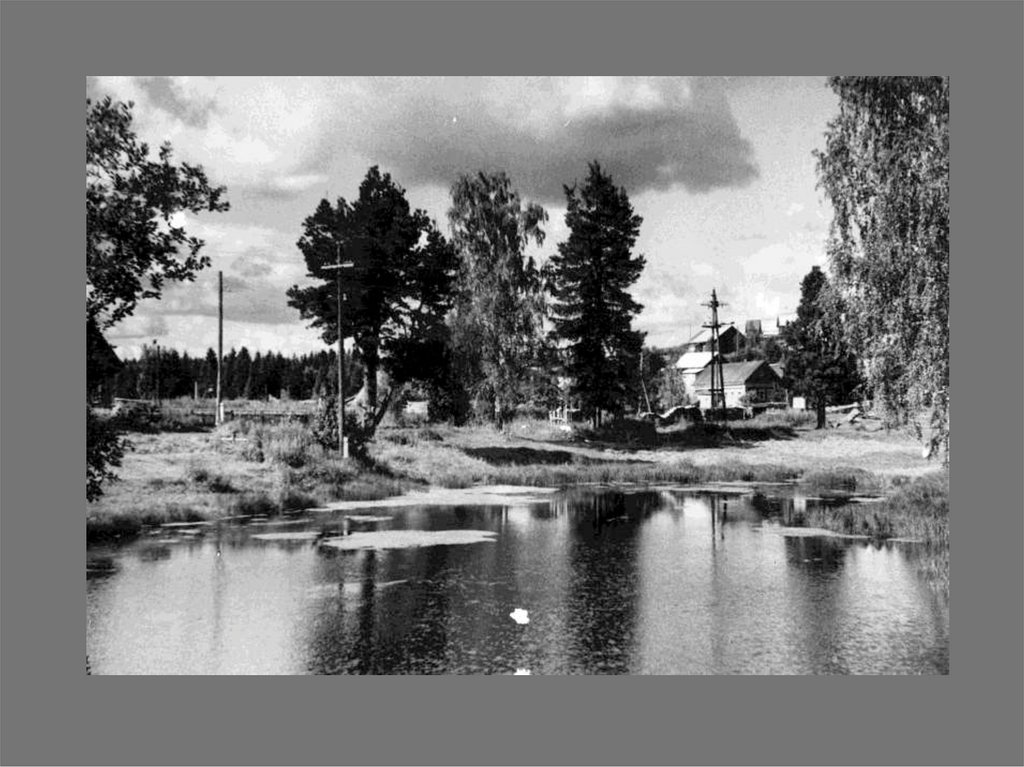 Красавино. Дача