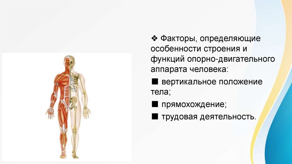 Ретенционные аппараты презентация