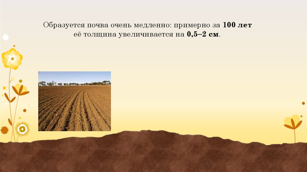 Почвы очень бедные либо вообще не формируются. Почва образуется. Скорость формирования почвы. Сколько лет формируется почва. Сколько почвы образуется за 100 лет.