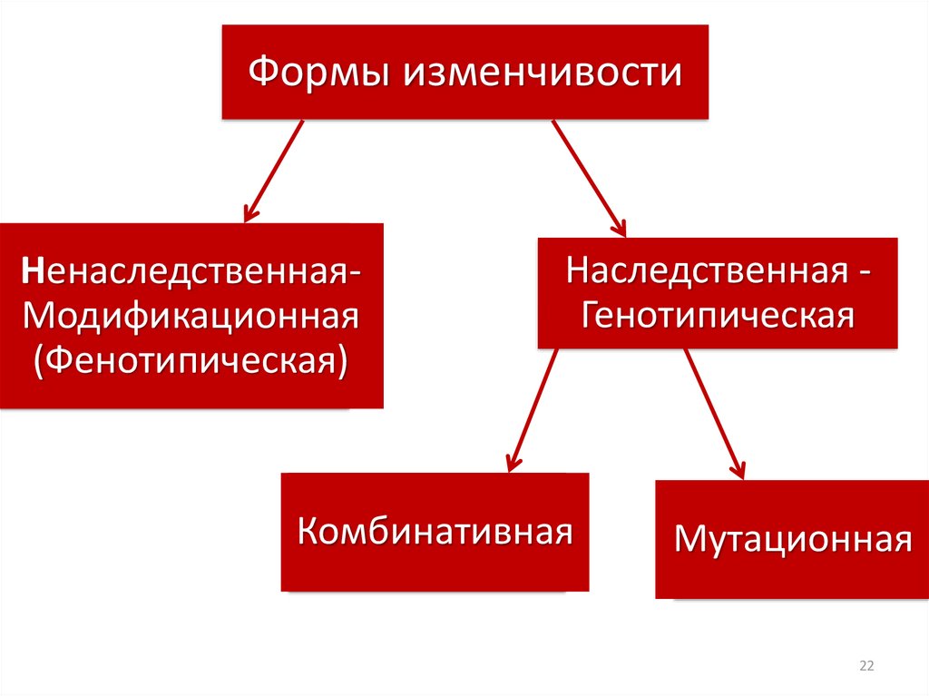 Схема типы изменчивости