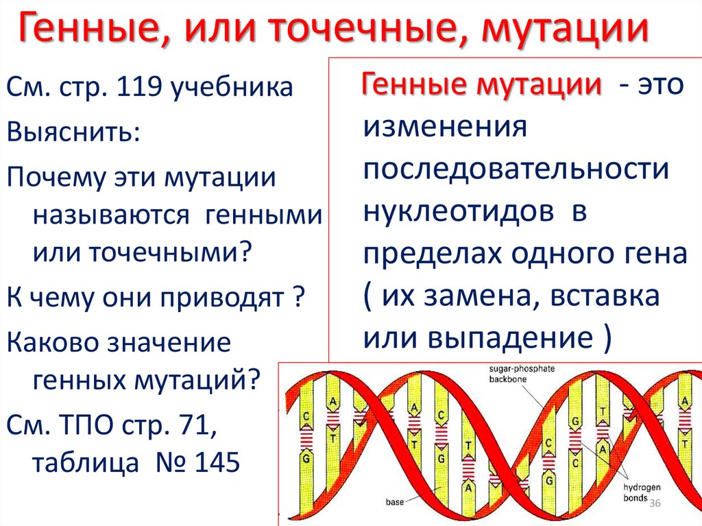 Примеры генов человека