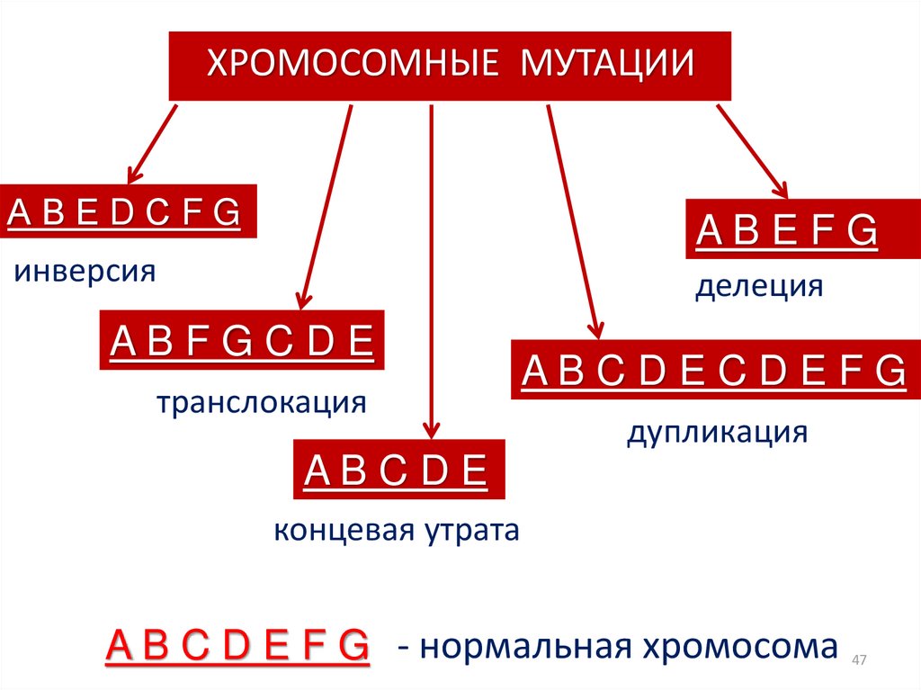 Рассмотрите рисунок определите какие виды мутаций изображены и впишите их названия в соответствии