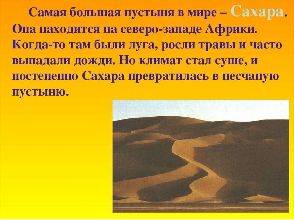 Становится более сухой и. Сообщение о пустыне. Рассказ о пустыне. Рассказ о пустыни. Пустыни доклад.