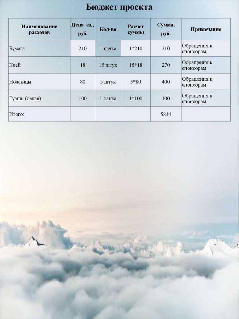 Бюджет проекта