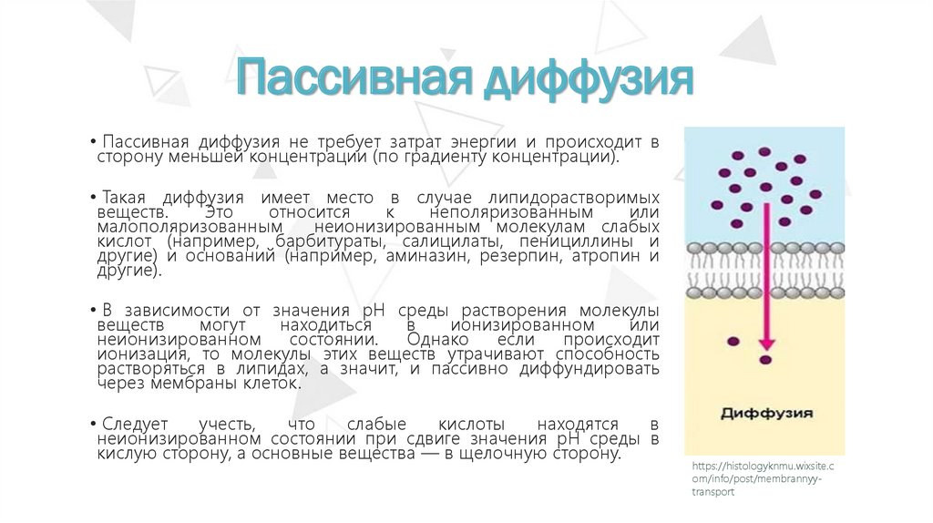 Простая диффузия какие вещества. Пассивная диффузия. Облегченная диффузия примеры.