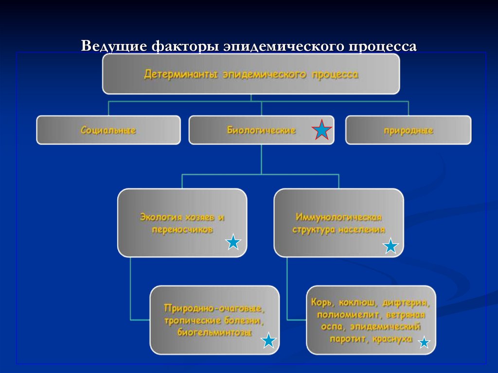 Учение об эпидемическом процессе презентация