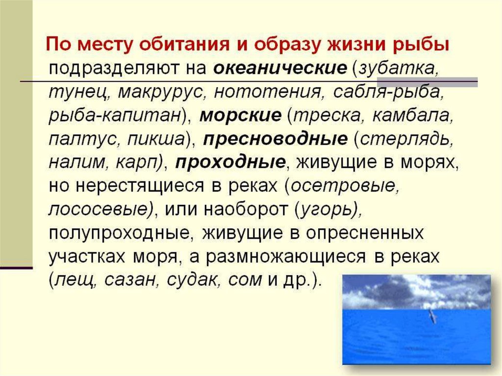 Приспособления рыб к условиям обитания значение рыб презентация