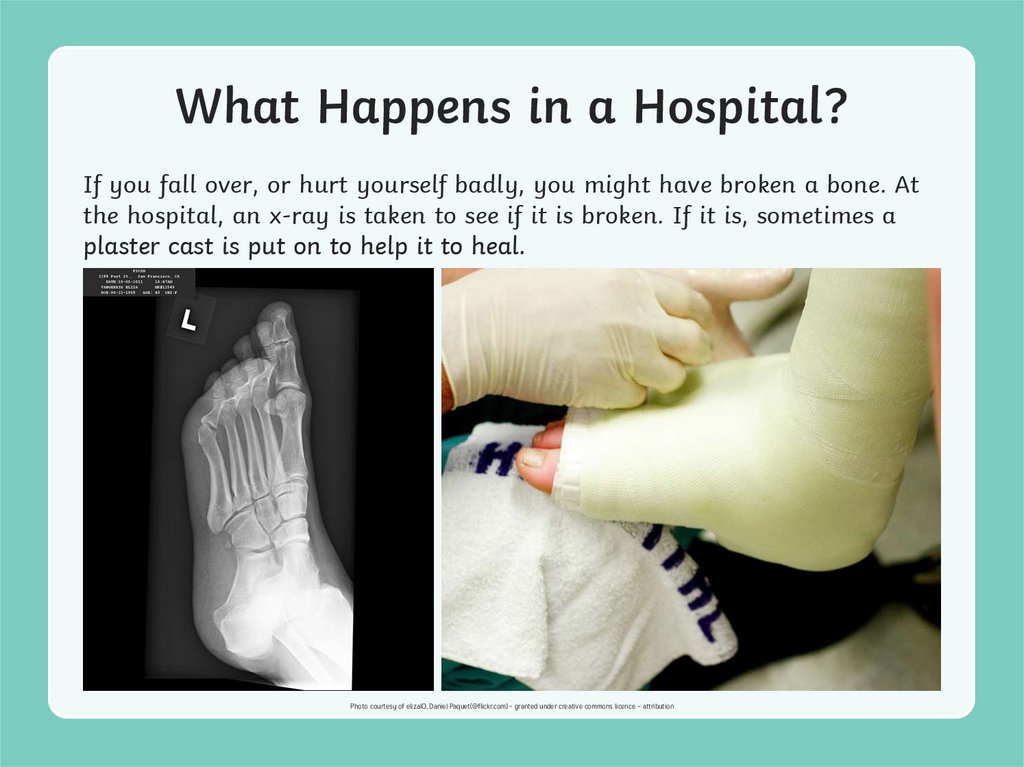 What Happens in a Hospital?