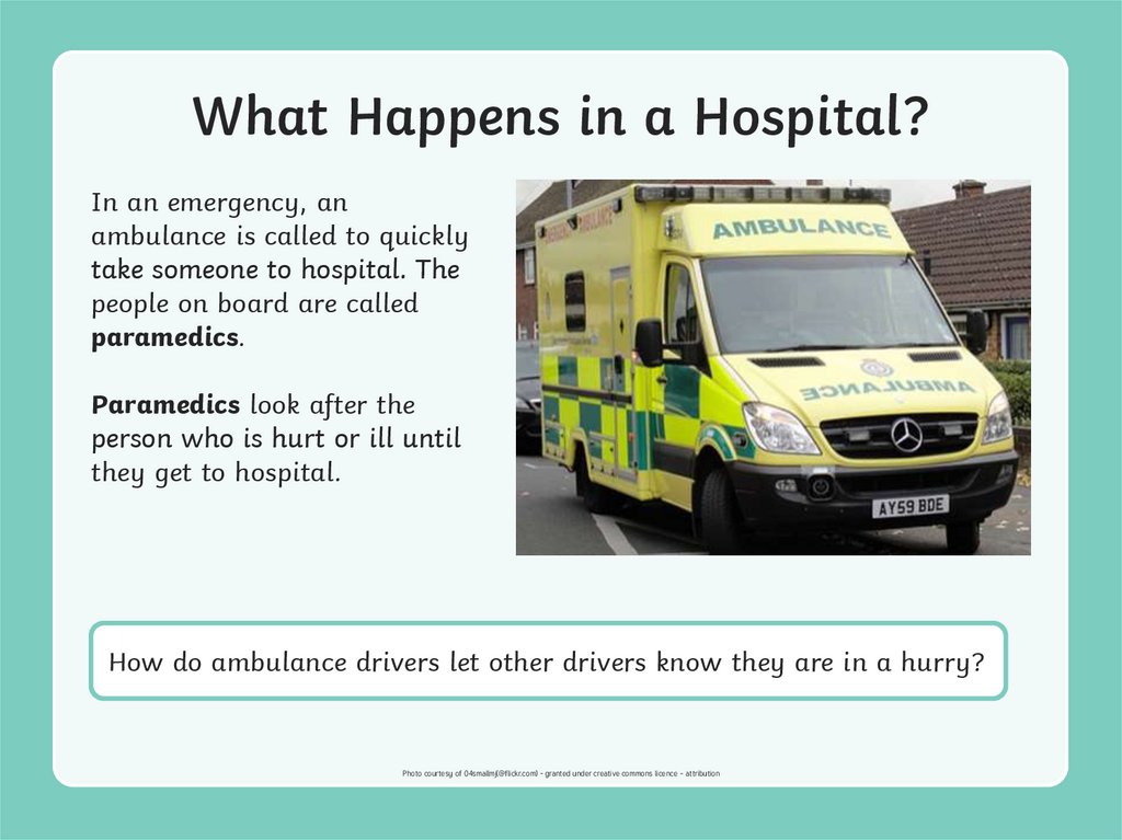 What Happens in a Hospital?