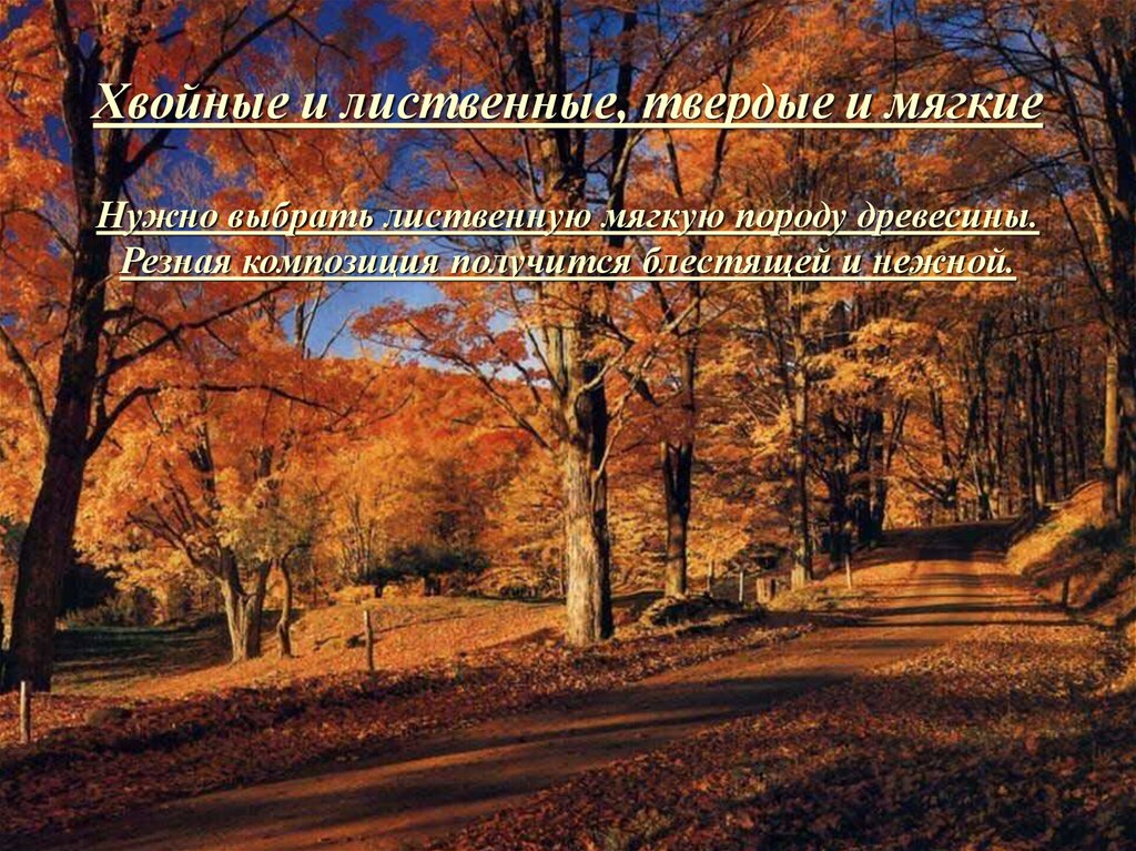 Хвойные и лиственные, твердые и мягкие Нужно выбрать лиственную мягкую породу древесины. Резная композиция получится блестящей