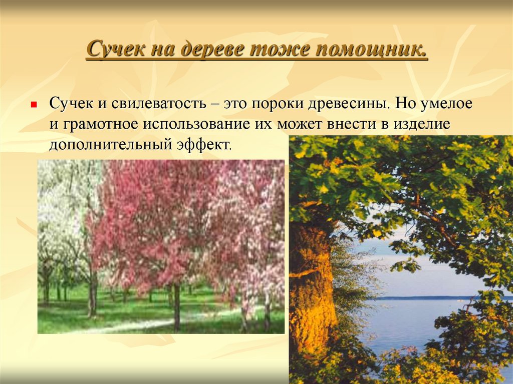 Сучек на дереве тоже помощник.