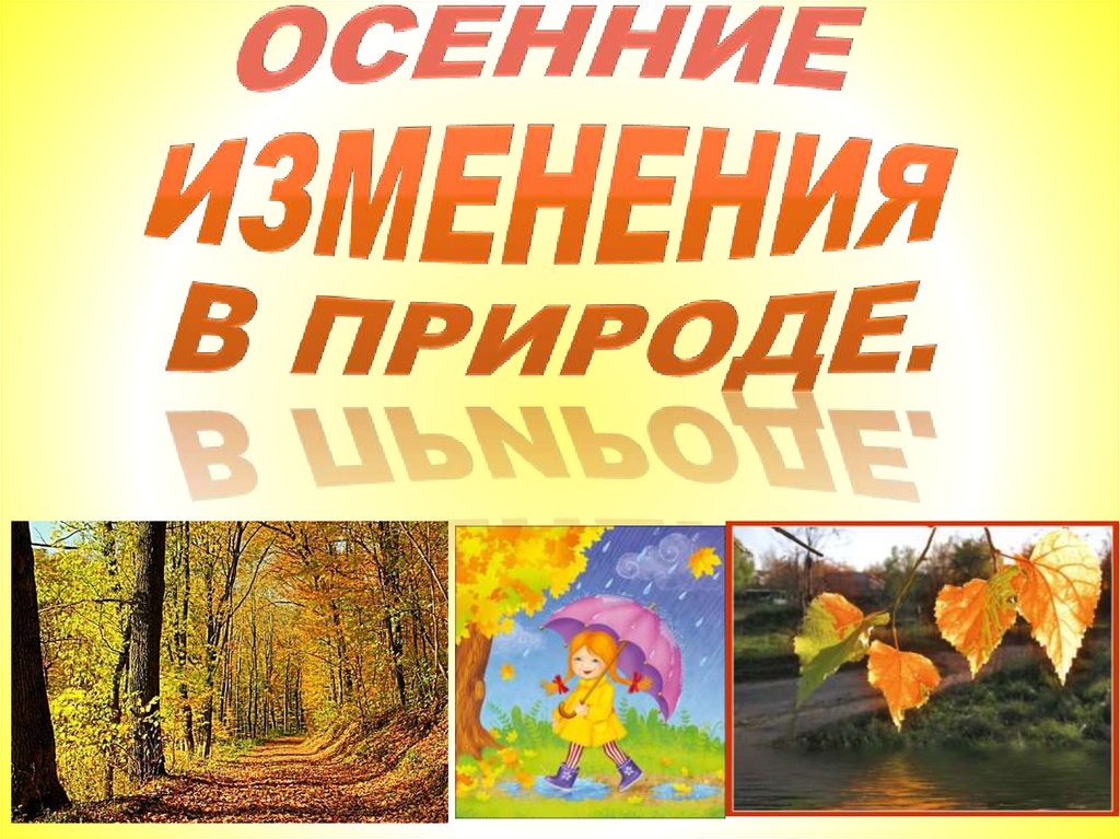 Изменения осенью