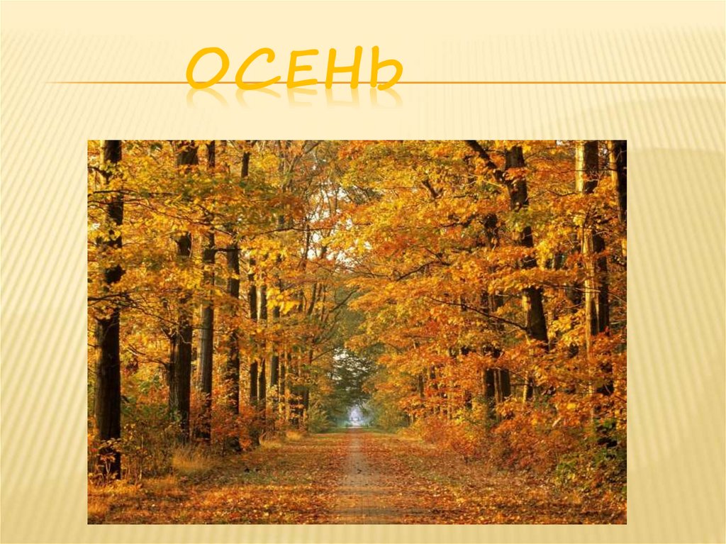 Осень