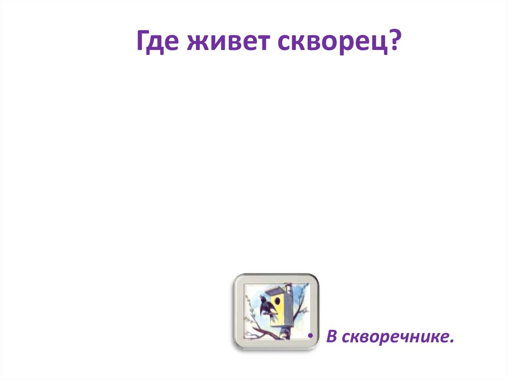 Где живет скворец?