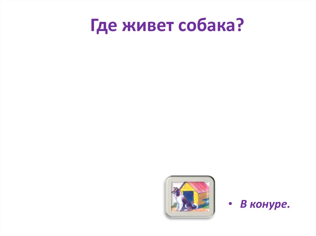 Где живет собака?
