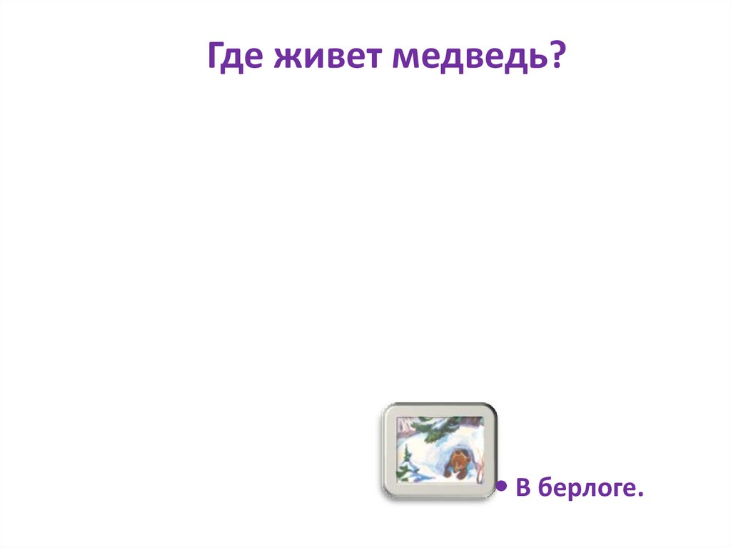 Где живет медведь?