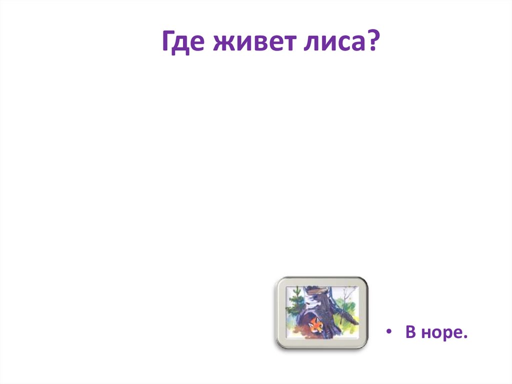Где живет лиса?