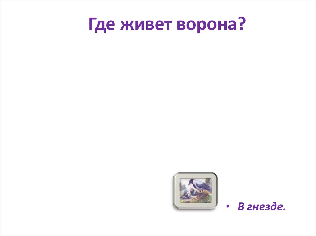 Где живет ворона?