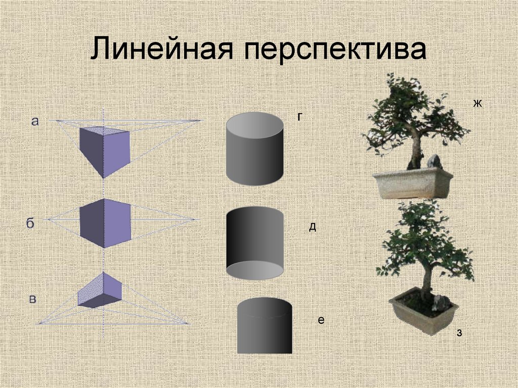 Освещение свет и тень изо 6 класс презентация