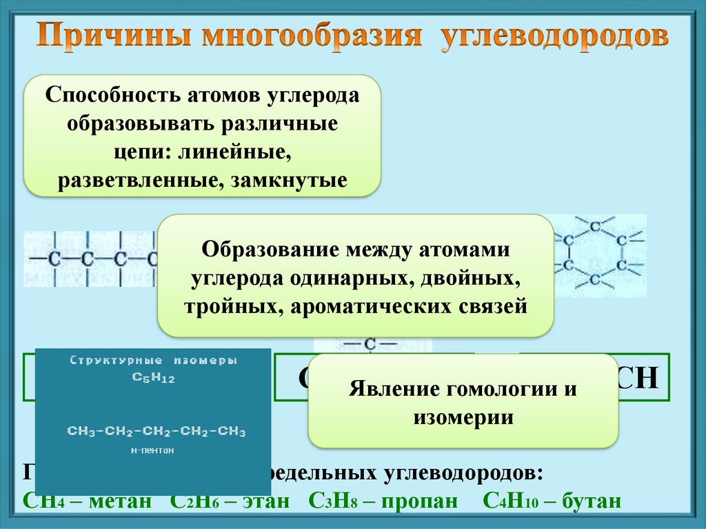 Способность образовывать. Причины многообразия углеводородов. Причина разнообразия углеводородов. Какие причины обусловливают многообразие углеводородов. В чём кроются причины многообразия углеводородов?.