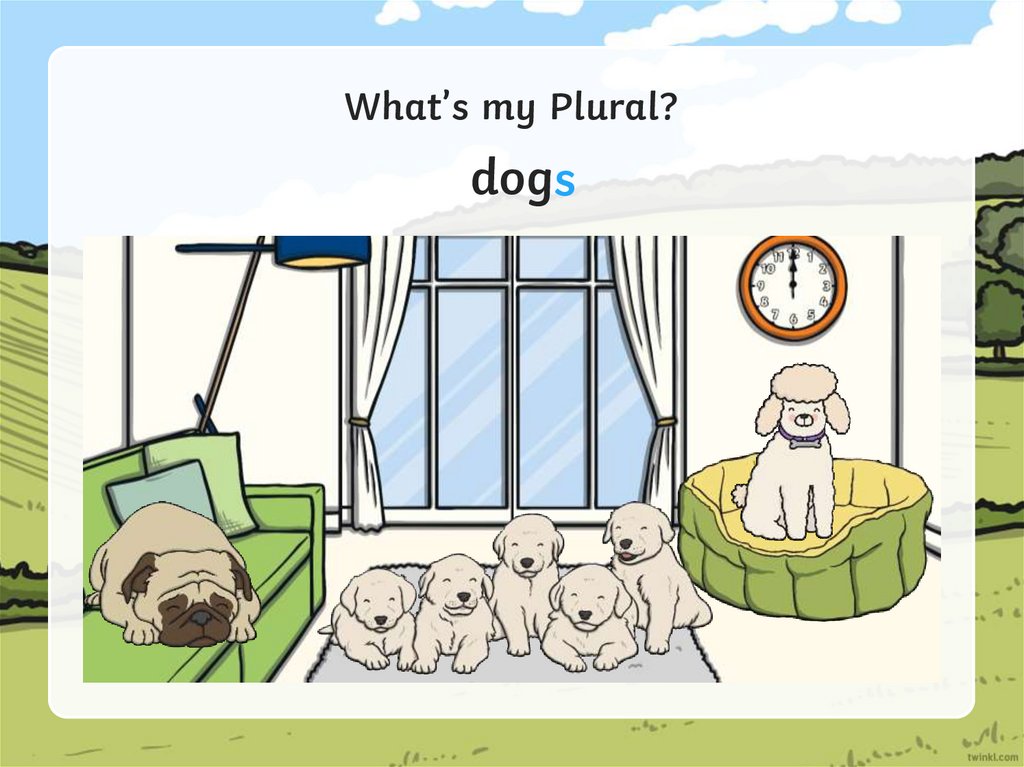 What’s my Plural? презентация онлайн