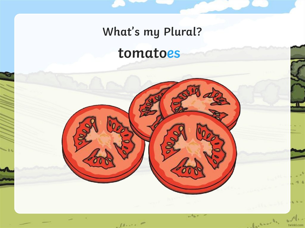 What’s my Plural?