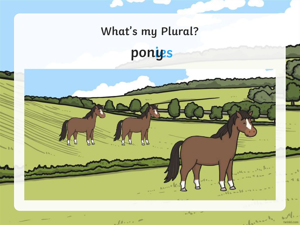 What’s my Plural? презентация онлайн