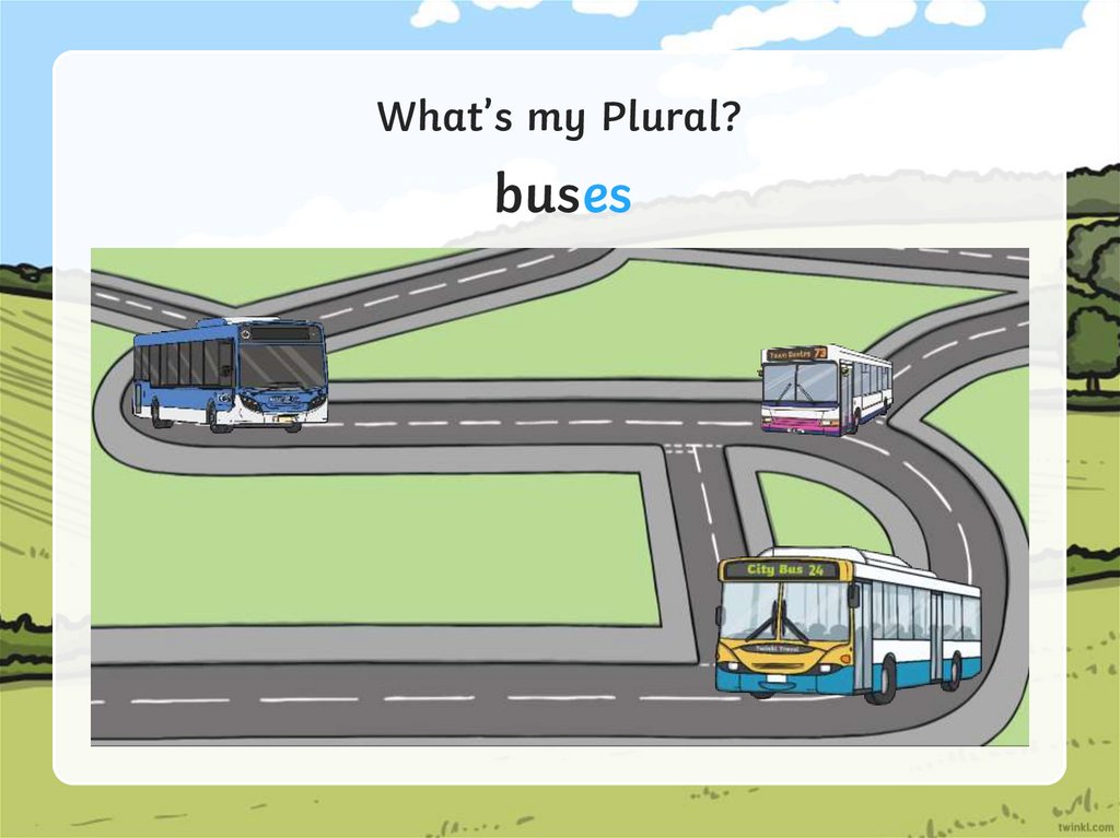 What’s my Plural? презентация онлайн