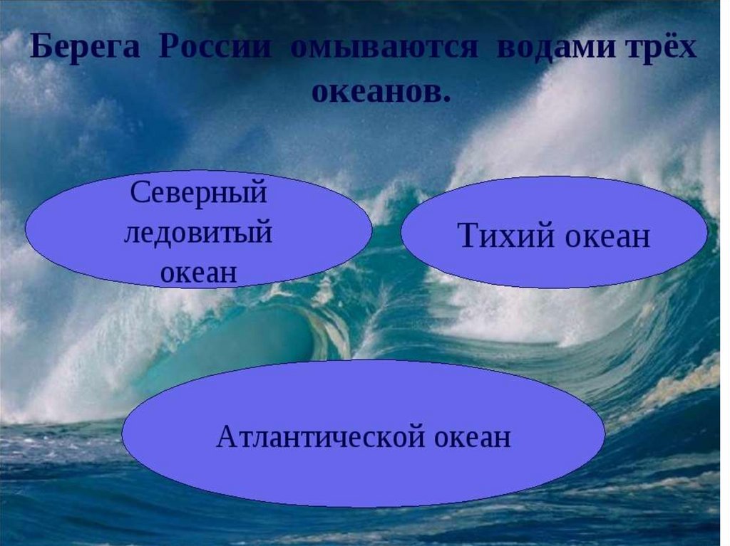 Моря океаны рф. Океаны омывающие Россию. Моря и океаны омывающие Россию. Три моря омывают Россию. Лкнегы омывпющие Россиию.