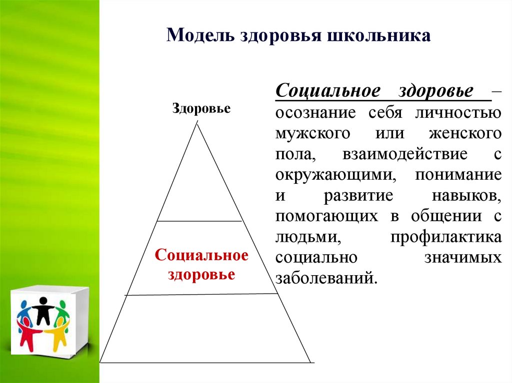 Здоровье человека как индивидуальная так и общественная ценность презентация