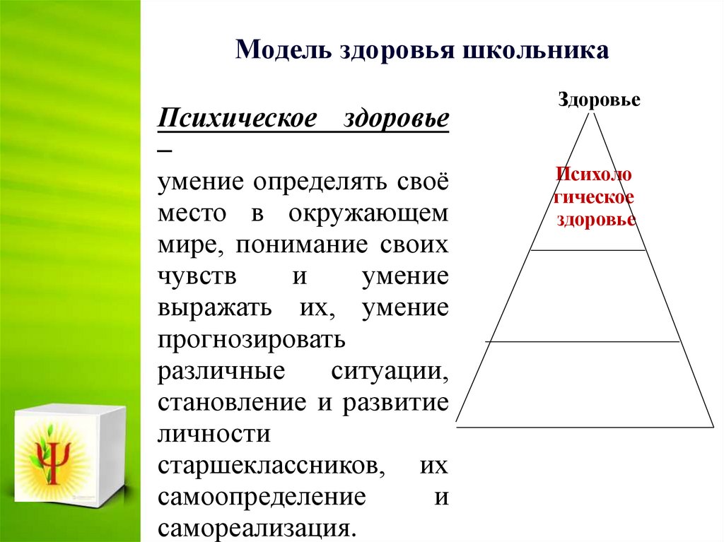 Модель здоровья