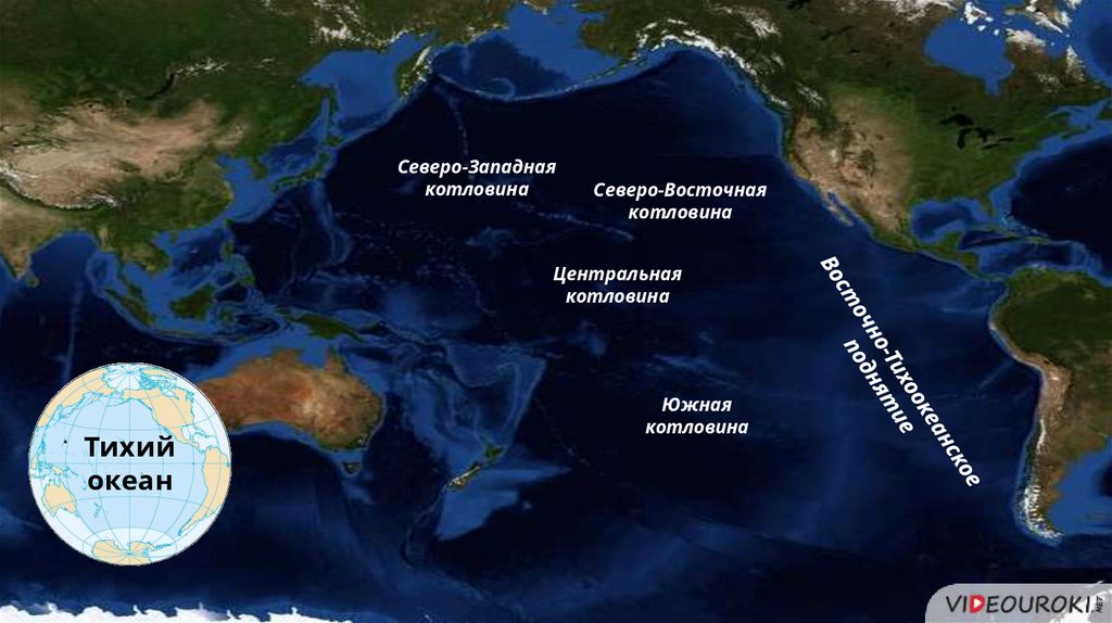 Объекты расположены в тихом океане. Котловины Тихого океана. Северо-Восточная котловина Тихого океана. Котловины Тихого океана на карте. Соседи Тихого океана.