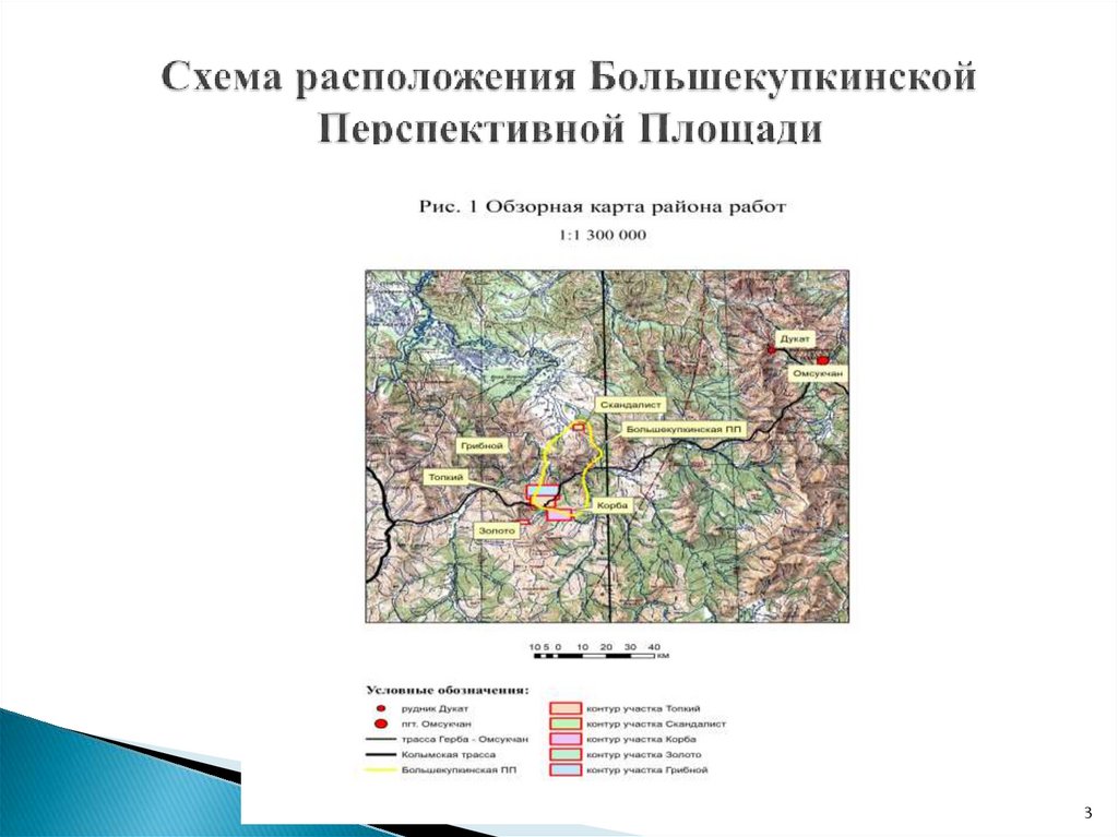 Схема расположения Большекупкинской Перспективной Площади