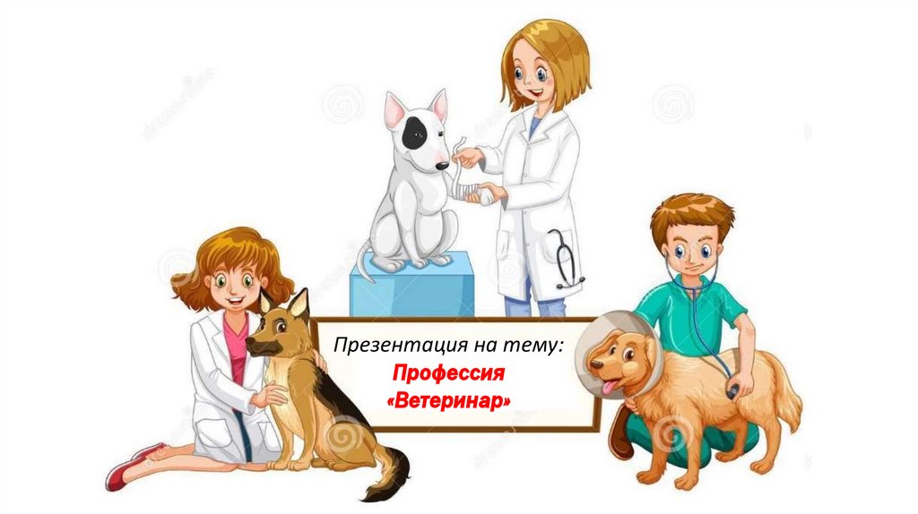 veterinar ppt
