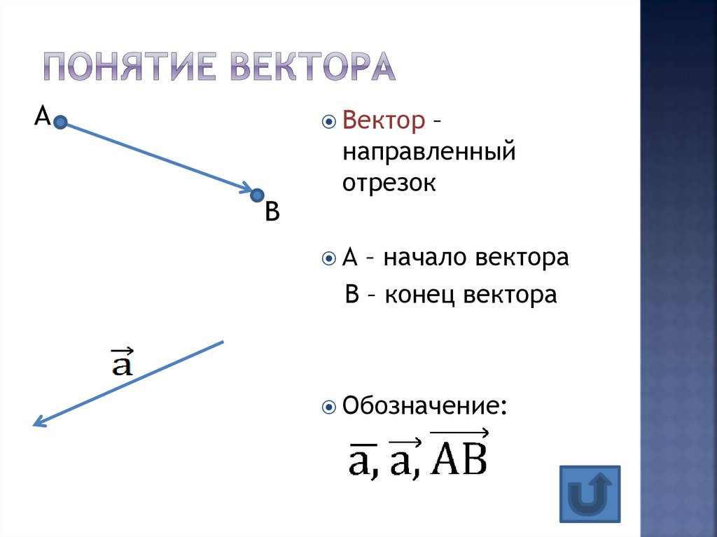 Вектор это. Понятие вектора. Вектор. Понятие вектора в геометрии. Вектор направленный отрезок.