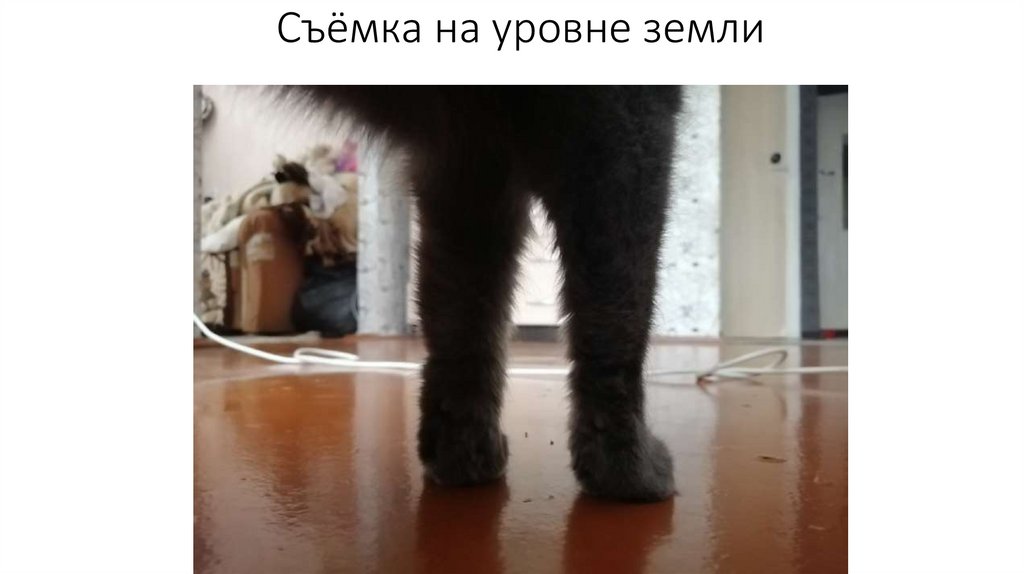 Съёмка на уровне земли