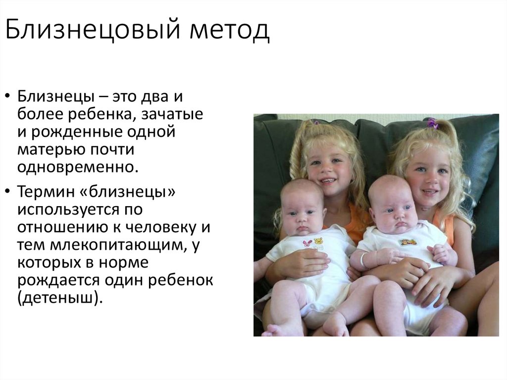 Близнецовый метод