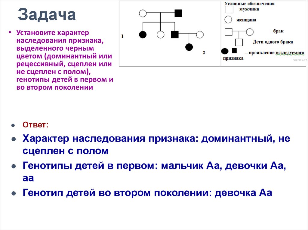 По изображенной на рисунке родословной установите характер проявления признака обозначенного черным цветом