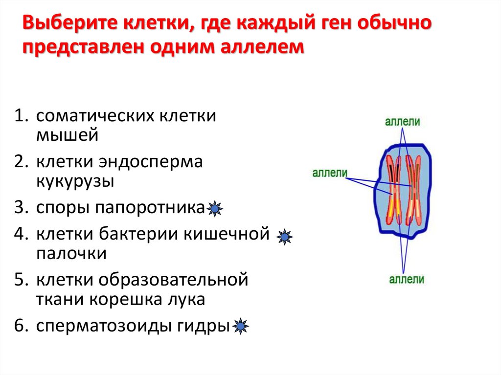 Где клетка