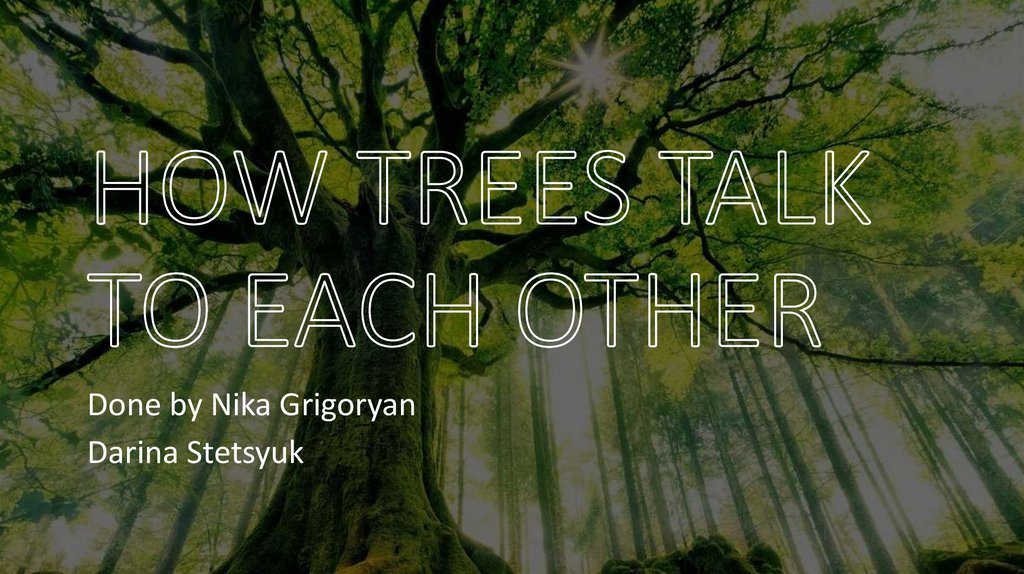 How trees talk to each other презентация онлайн