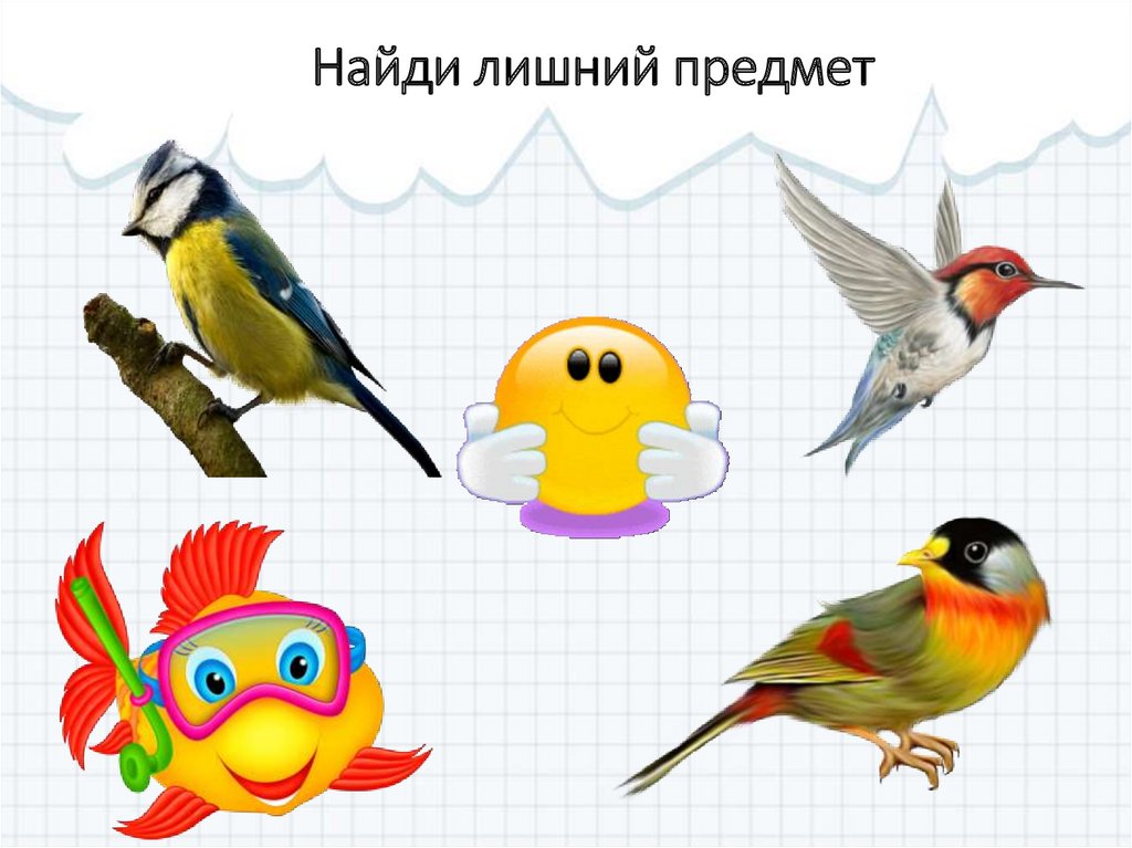 Найди лишний предмет