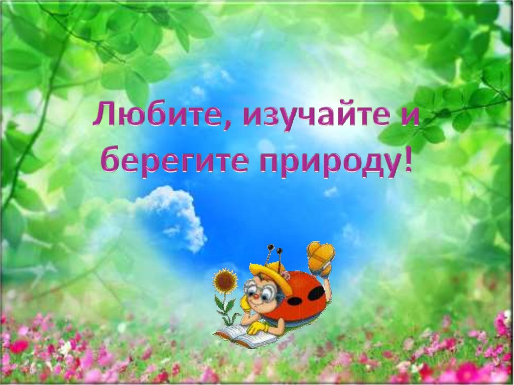 Презентация природа онлайн