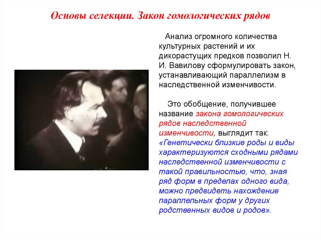 Закон вавилова о гомологических рядах наследственной изменчивости презентация