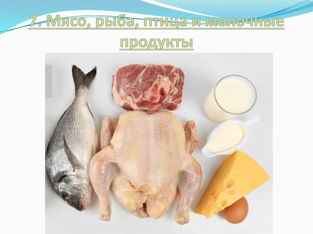 7. Мясо, рыба, птица и молочные продукты