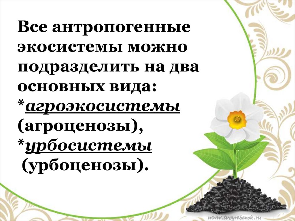 Презентация агроэкосистемы и урбоэкосистемы