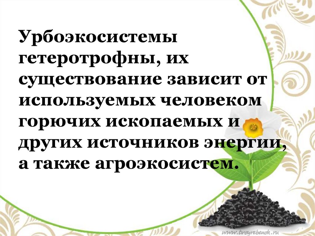 Искусственные сообщества агроэкосистемы и урбоэкосистемы. Урбоэкосистемы. Характеристика урбоэкосистемы. Искусственные сообщества интересные факты. Презентации по биологии искусственные сообщества.