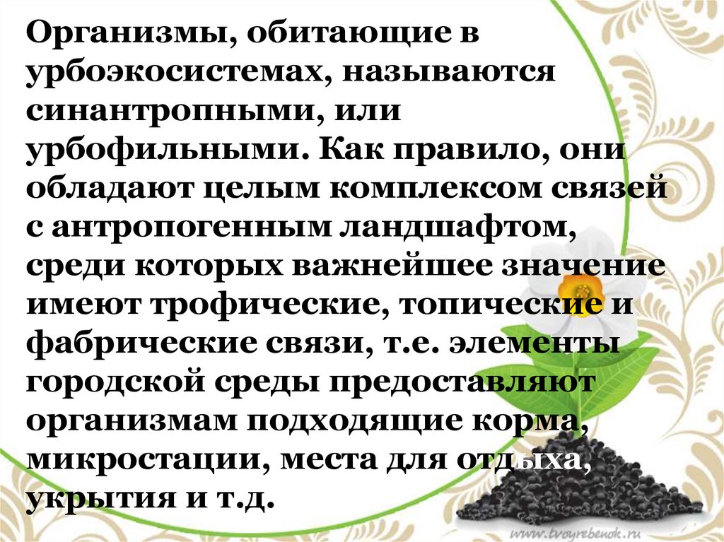 Искусственные сообщества агроэкосистемы и урбоэкосистемы презентация