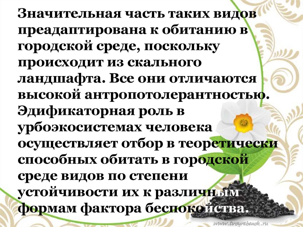 Искусственные сообщества агроэкосистемы и урбоэкосистемы презентация